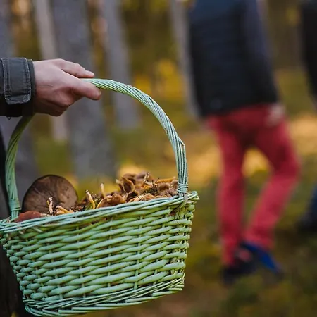 Vakantiehuis Uuejaerve House At Korvemaa Forest *