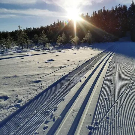 Vakantiehuis Uuejaerve House At Korvemaa Forest Pillapalu