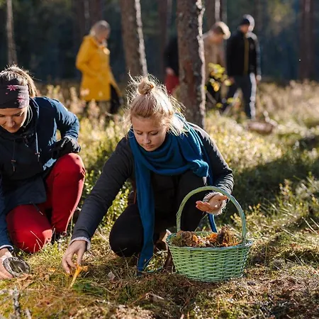 Uuejaerve House At Korvemaa Forest *