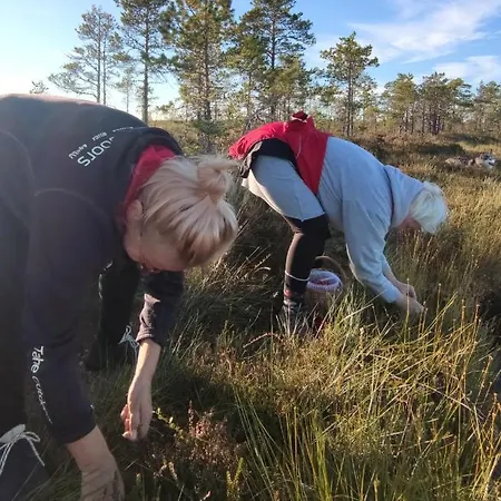 Uuejaerve House At Korvemaa Forest Vakantiehuis *