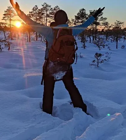 Uuejaerve House At Korvemaa Forest * Pillapalu