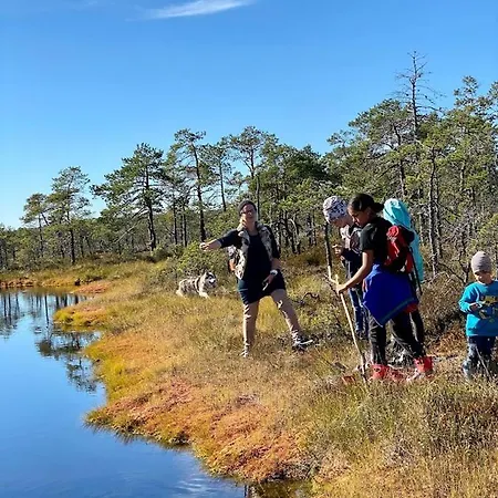 Uuejaerve House At Korvemaa Forest Pillapalu