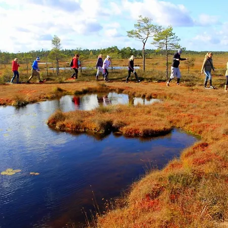Uuejaerve House At Korvemaa Forest Vakantiehuis