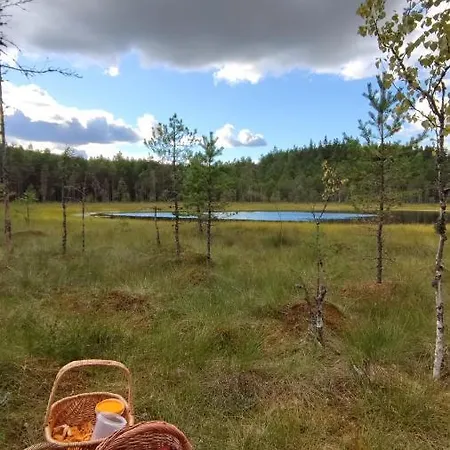 Casa vacanze Uuejaerve House At Korvemaa Forest Pillapalu