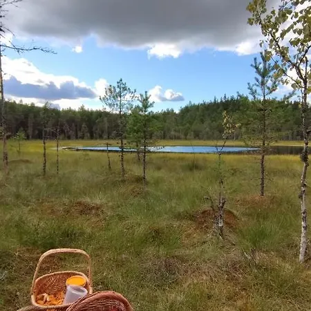 Vakantiehuis Uuejaerve House At Korvemaa Forest Pillapalu