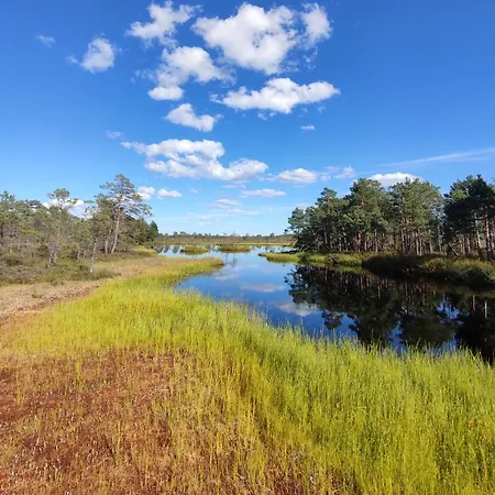 Uuejaerve House At Korvemaa Forest * Pillapalu