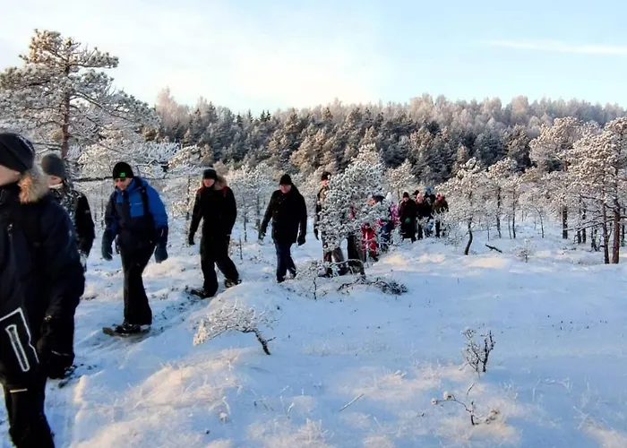 Uuejaerve House At Korvemaa Forest Pillapalu