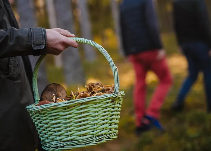 Holiday home Uuejaerve House At Korvemaa Forest *
