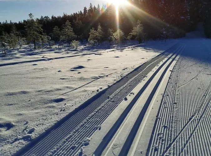Holiday home Uuejaerve House At Korvemaa Forest Pillapalu