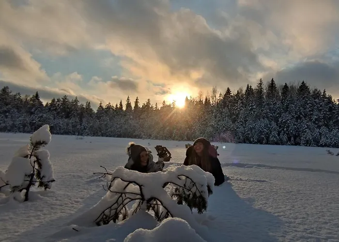 Uuejaerve House At Korvemaa Forest