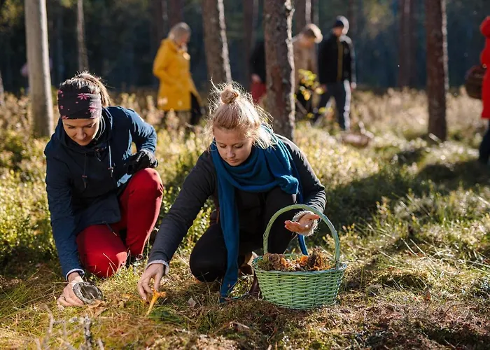 Uuejaerve House At Korvemaa Forest *