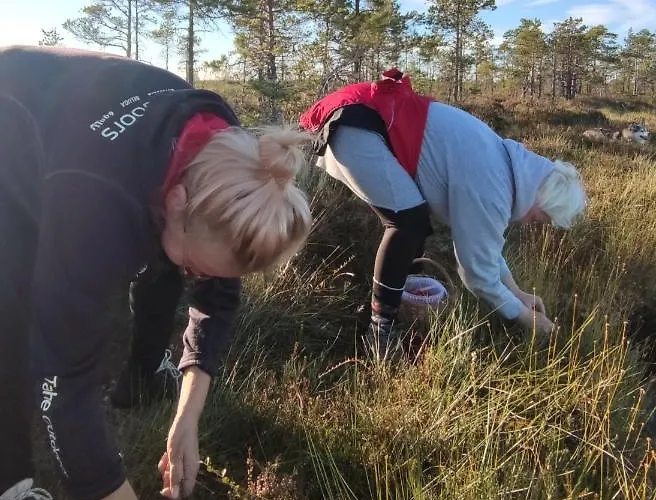 Uuejaerve House At Korvemaa Forest Holiday home *