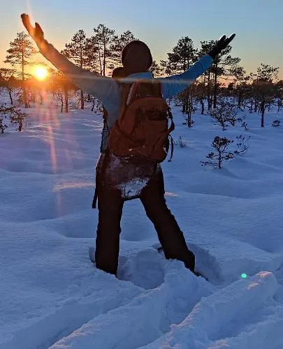 Uuejaerve House At Korvemaa Forest * Pillapalu