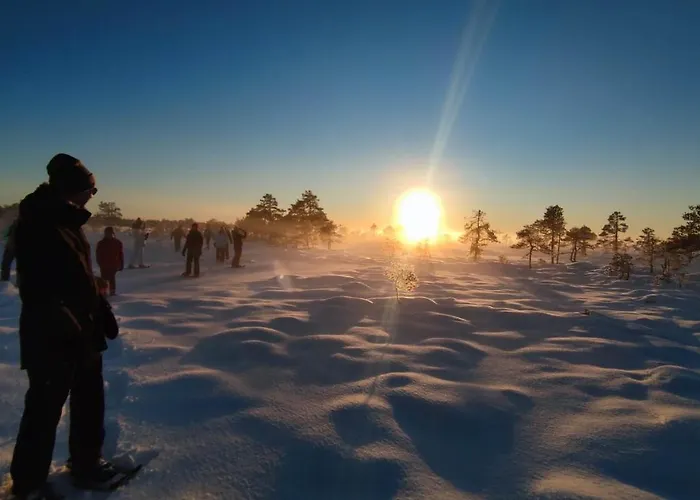 Holiday home Uuejaerve House At Korvemaa Forest Pillapalu