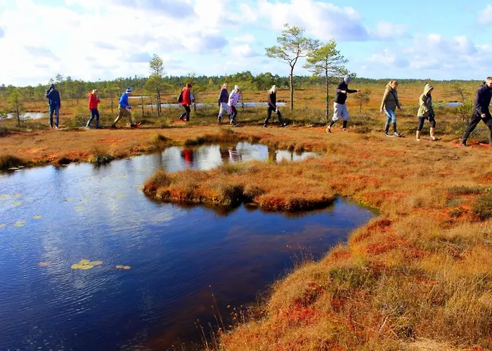 Uuejaerve House At Korvemaa Forest Holiday home