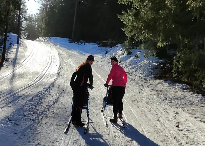 Uuejaerve House At Korvemaa Forest *