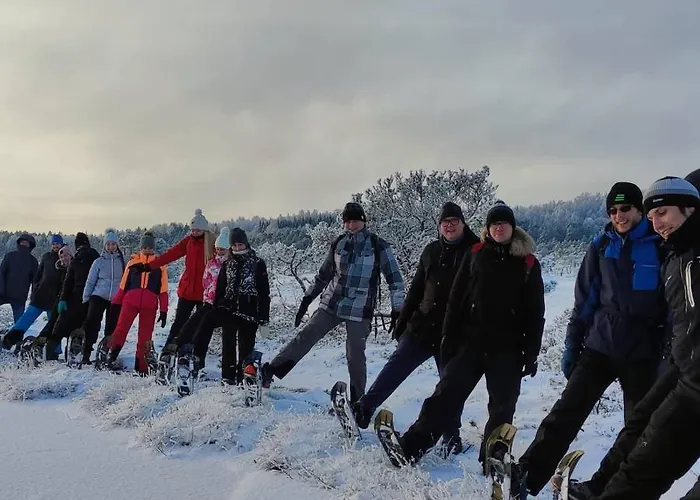Uuejaerve House At Korvemaa Forest *