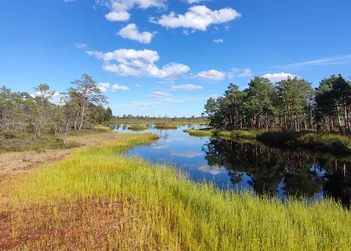 Uuejaerve House At Korvemaa Forest * Pillapalu